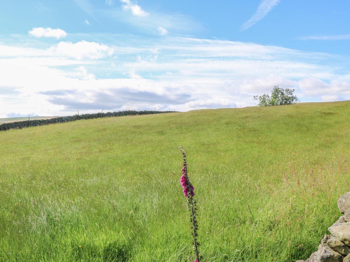 Shepherd'S Cottage Newbiggin  Екстериор снимка